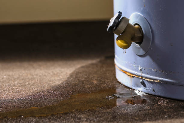 Best 24/7 water damage repair  in Philmont, NY