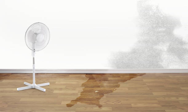 Best Water damage restoration near me  in Philmont, NY