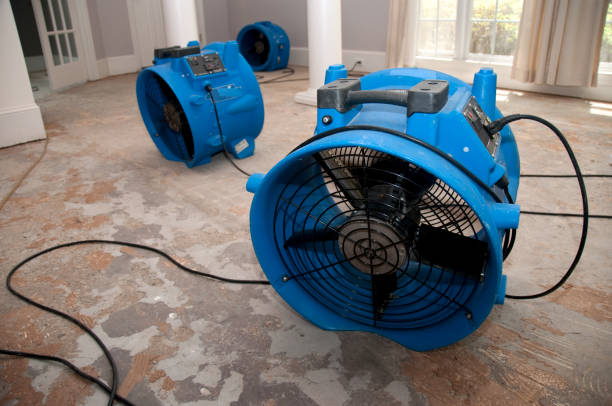 Best Flood restoration services  in Philmont, NY