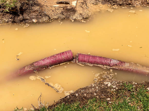 Best Water damage contractors near me  in Philmont, NY