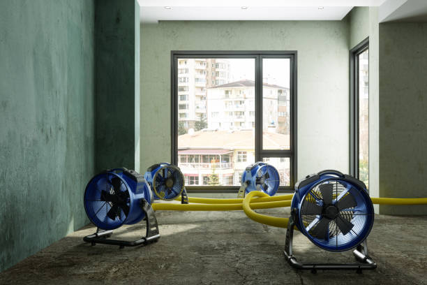 Best Commercial water damage restoration  in Philmont, NY